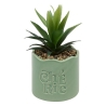 Plante vivace Chéri haut 17 cm pot céramique CHERIE
