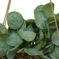 Plante suspendue Chéri haut 27 cm pot céramique JAUNE