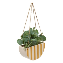 Plante suspendue Chéri haut 27 cm pot céramique JAUNE