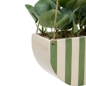 Plante suspendue Chéri haut 27 cm pot céramique VERT