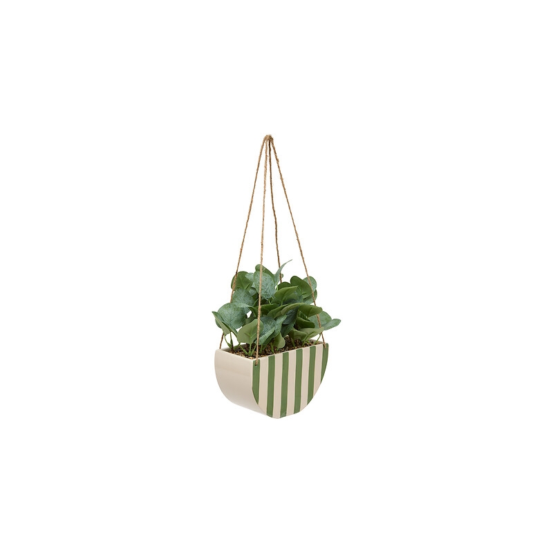 Plante suspendue Chéri haut 27 cm pot céramique VERT