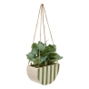 Plante suspendue Chéri haut 27 cm pot céramique VERT