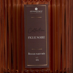 BOUGIE PARFUMEE VERRE ALBIE FIGUE NOIRE 290G