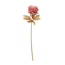 Tige pivoine Fria haut 76 cm