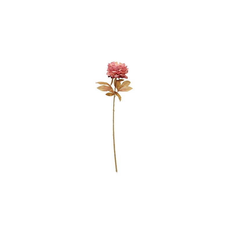 Tige pivoine Fria haut 76 cm