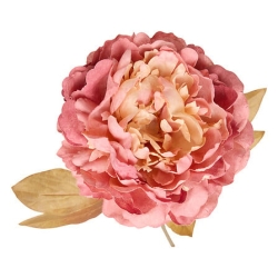 Tige pivoine Fria haut 76 cm