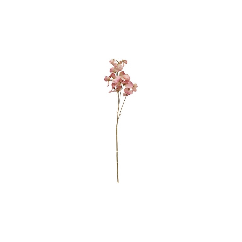 Tige eucalyptus Fria haut 74 cm
