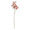 Tige eucalyptus Fria haut 74 cm