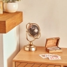 Globe terrestre Bota haut 25 cm métal mordoré