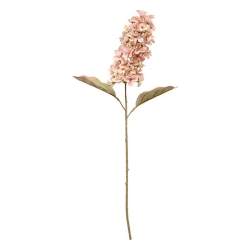Tige jacynthe Fria haut 66 cm