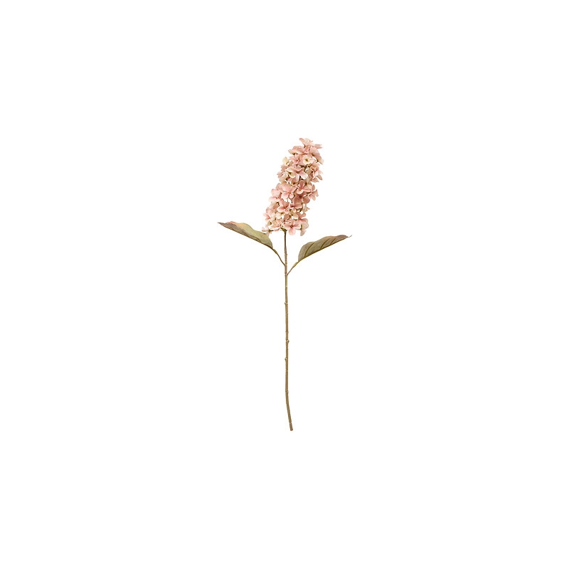 Tige jacynthe Fria haut 66 cm
