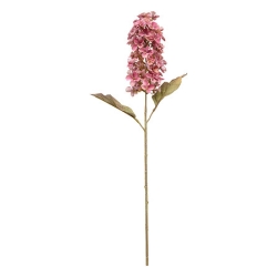 Tige jacynthe Fria haut 66 cm
