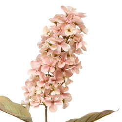Tige jacynthe Fria haut 66 cm