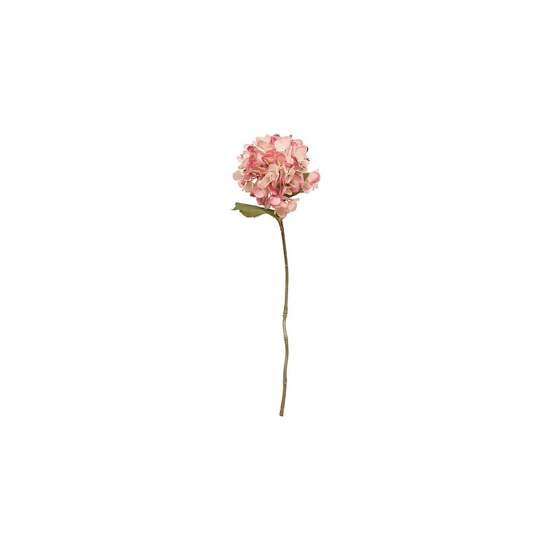 Tige hortensia Fria haut 62 cm