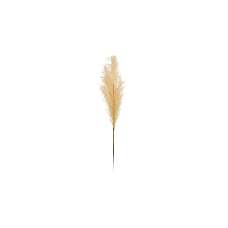 Tige de pampa artificielle Adna haut 90 cm beige