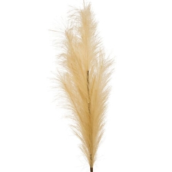 Tige de pampa artificielle Adna haut 90 cm beige