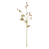 Tige sanicule haut 67 cm