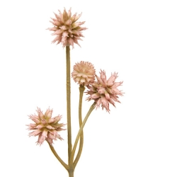Tige sanicule haut 67 cm