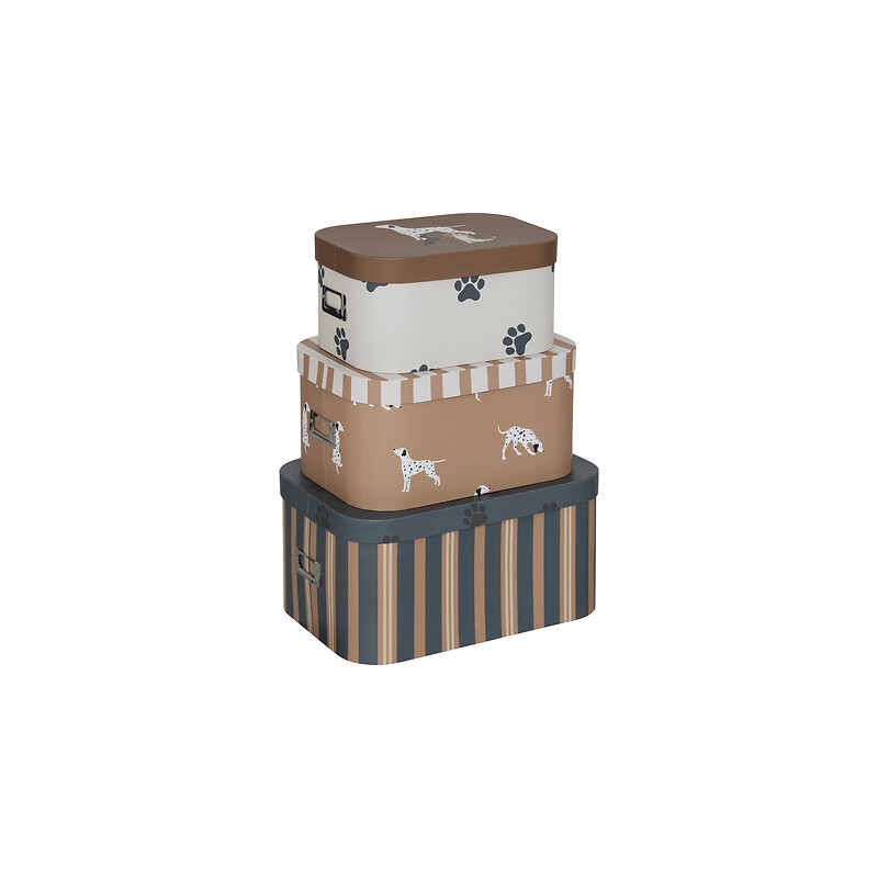 Lot de 3 boîtes chien Scott carton