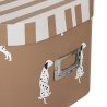 Lot de 3 boîtes chien Scott carton