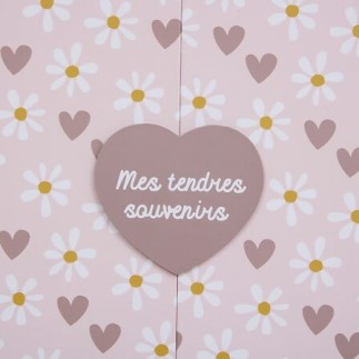 Coffret de naissance souvenirs cœurs 9 tiroirs rose pour fille pas cher