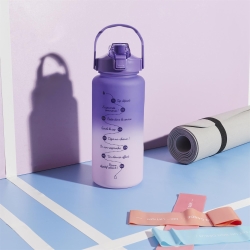 BOUTEILLE MOTIVATION 2L VIOLET