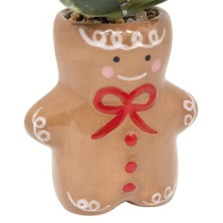 Plante pot céramique décor Noël