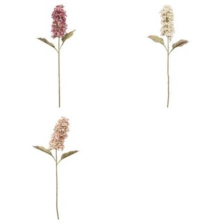 Tige jacynthe Fria haut 66 cm assorti