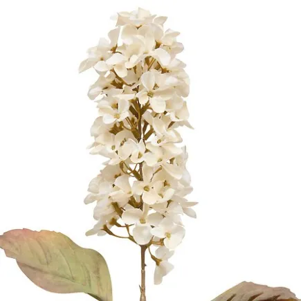 Tige jacynthe Fria haut 66 cm assorti