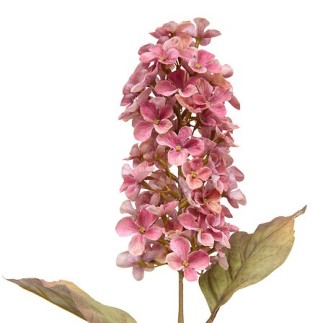 Tige jacynthe Fria haut 66 cm assorti