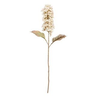 Tige jacynthe Fria haut 66 cm assorti