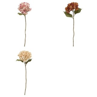 Tige hortensia Fria haut 62 cm assorti