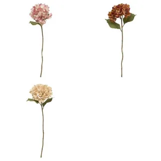 Tige hortensia Fria haut 62 cm assorti