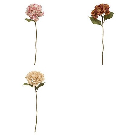 Tige hortensia Fria haut 62 cm assorti