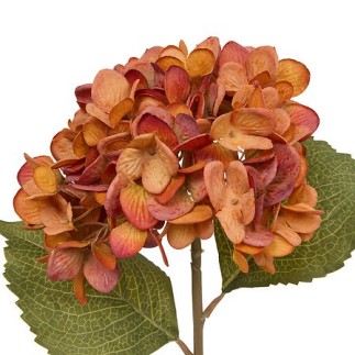 Tige hortensia Fria haut 62 cm assorti
