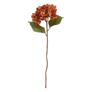 Tige hortensia Fria haut 62 cm assorti