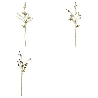 Tige sanicule haut 67 cm assorti