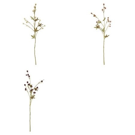 Tige sanicule haut 67 cm assorti