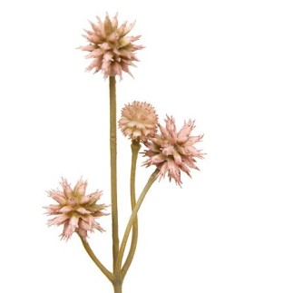 Tige sanicule haut 67 cm assorti