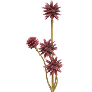 Tige sanicule haut 67 cm assorti