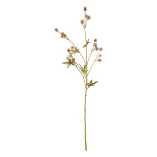 Tige sanicule haut 67 cm assorti