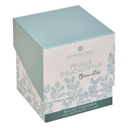 Bougie parfumée Maël 190g feuille d'eucalyptus