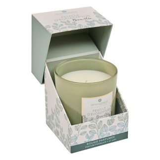 Bougie parfumée Maël 190g feuille d'eucalyptus