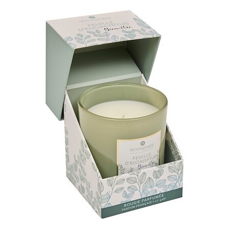 Bougie parfumée Maël 190g feuille d'eucalyptus