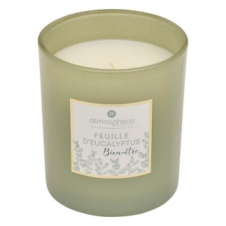 Bougie parfumée Maël 190g feuille d'eucalyptus