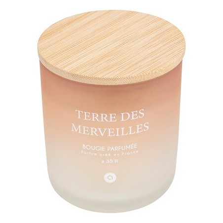 Bougie parfumée Sana 255g Terre de Merveilles