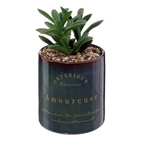 Plante Botanic factory haut 17 cm avec pot céramique réactive bleu
