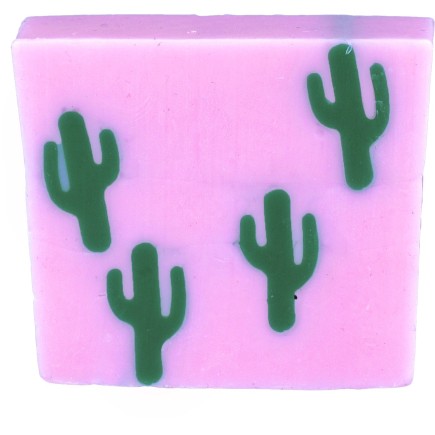 Tranche de savon Cactus Makes Perfect
