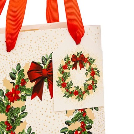 Sac cadeau taille moyenne Dream