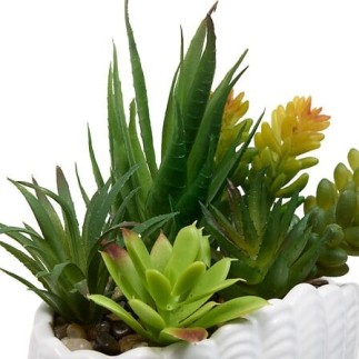 Composition Ocea 20cm pot coquillage blanc